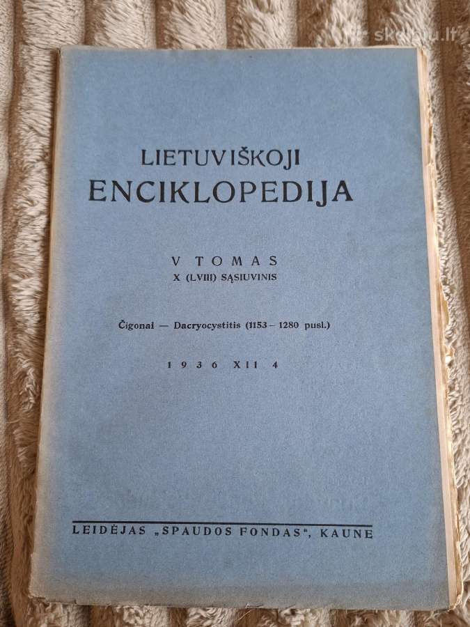 Enciklopedija - nuotraukos Nr. 17