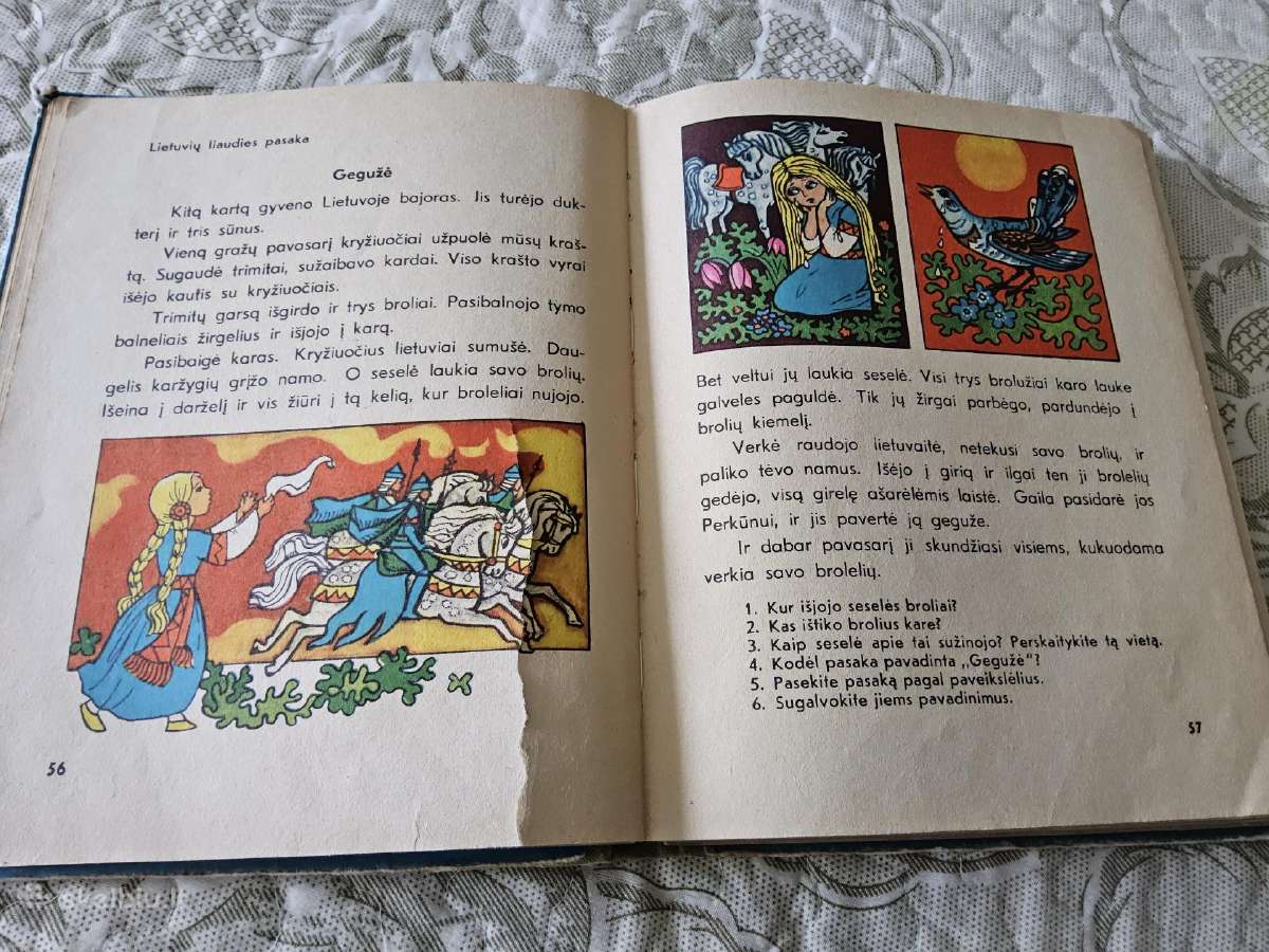 L.jakubauskienė "Vyturys" - nuotraukos Nr. 6