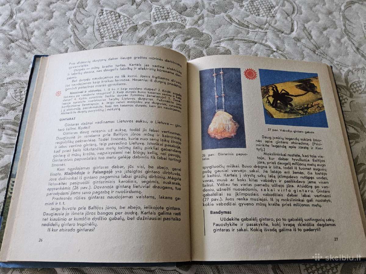 S.molis, B.rimkevičienė "Gamtos pažinimas" 3 kl. - nuotraukos Nr. 6