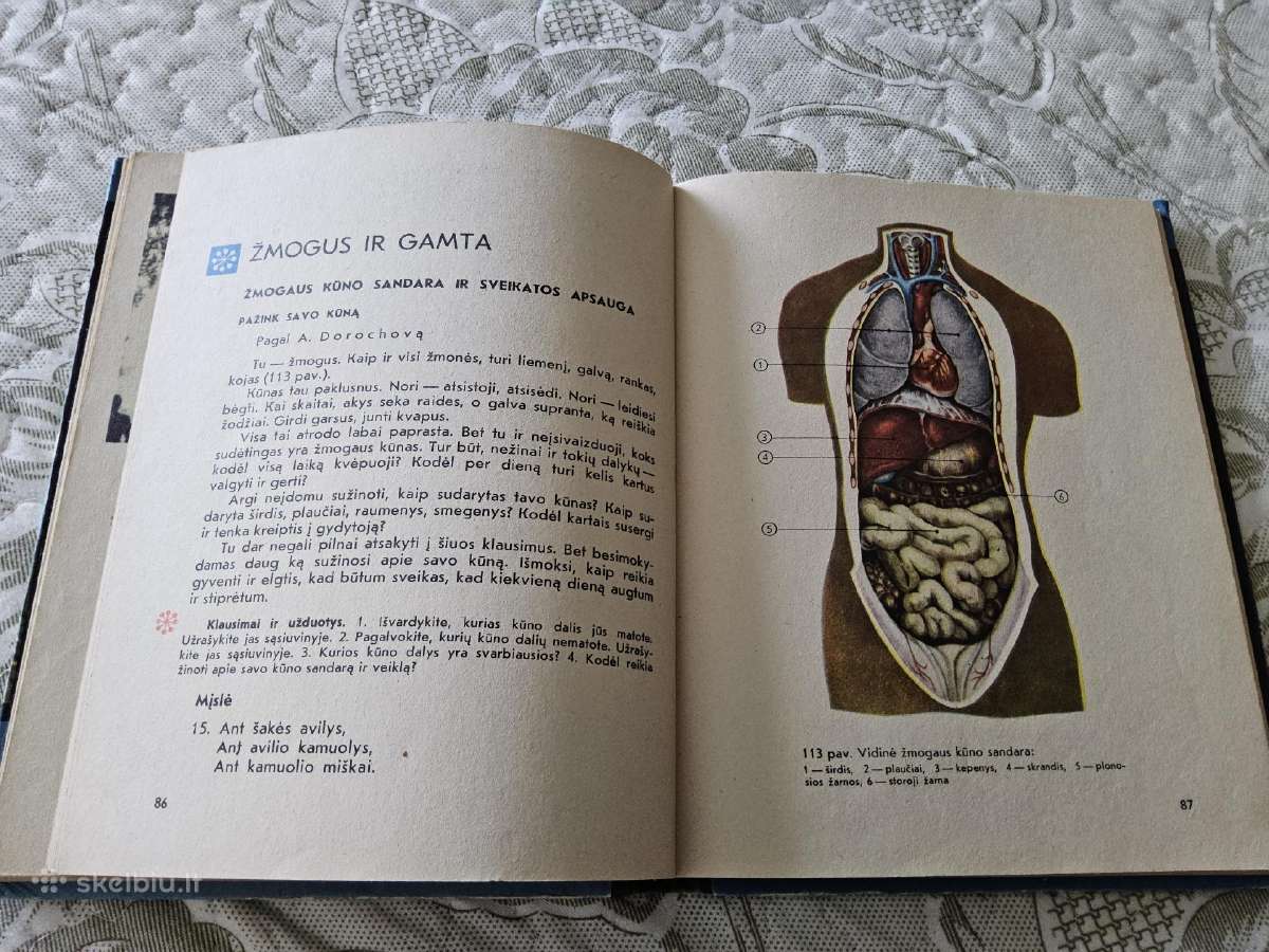 S.molis, B.rimkevičienė "Gamtos pažinimas" 3 kl. - nuotraukos Nr. 8