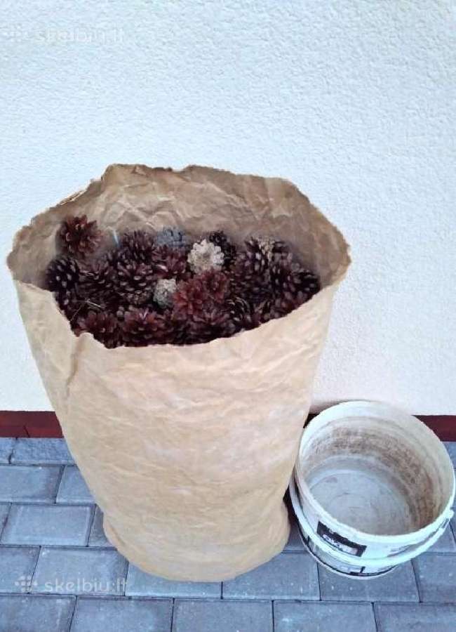 Pušų kankorėžiai, 1 maišas