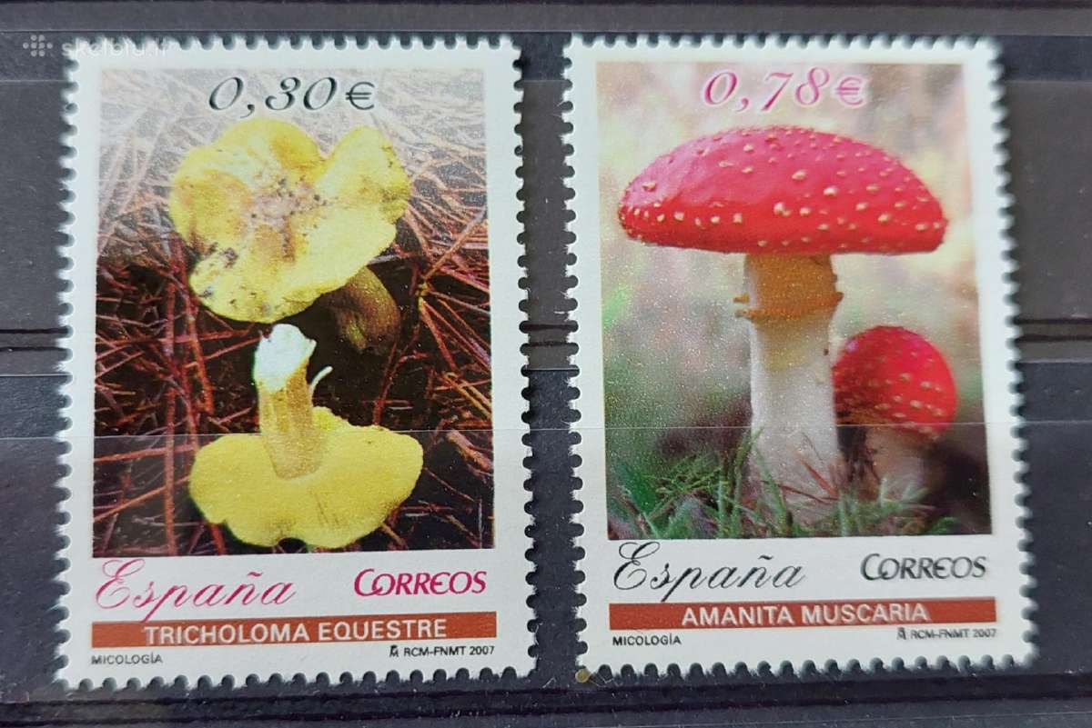Ispanija 2007 grybai , švarus Michel Nr.4230-4231