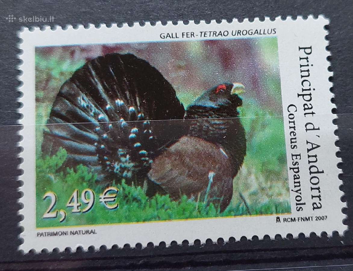 Andora (Ispanu) 2007 paukštis, švarus Michel Nr.34