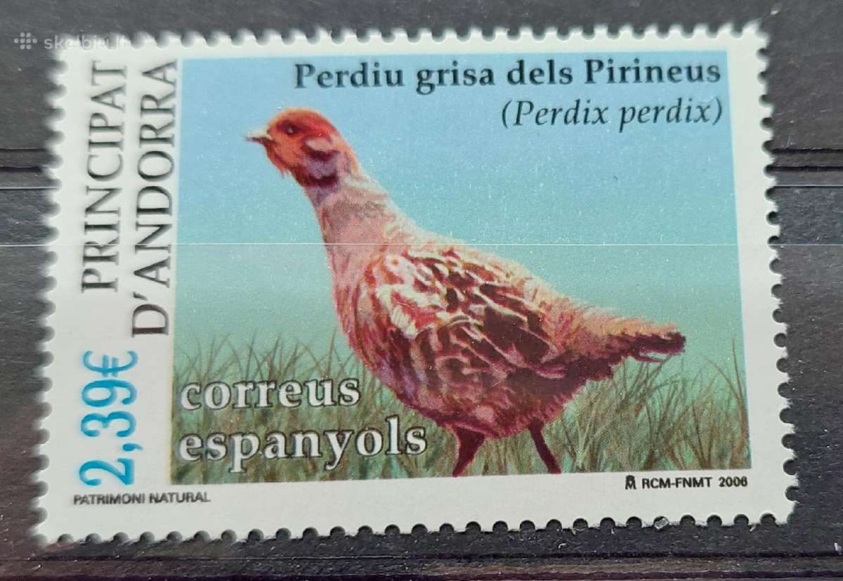 Andora (Ispanu) 2006 paukštis, švarus Michel Nr.33
