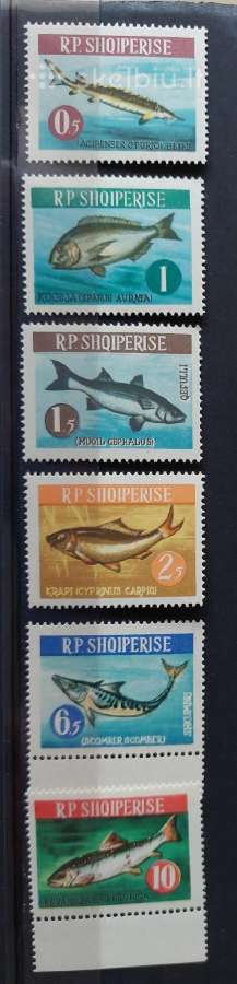 Albanija 1964 žuvis, švarus ,Michel Nr.809-814