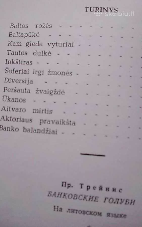 Banko balandžiai - nuotraukos Nr. 3