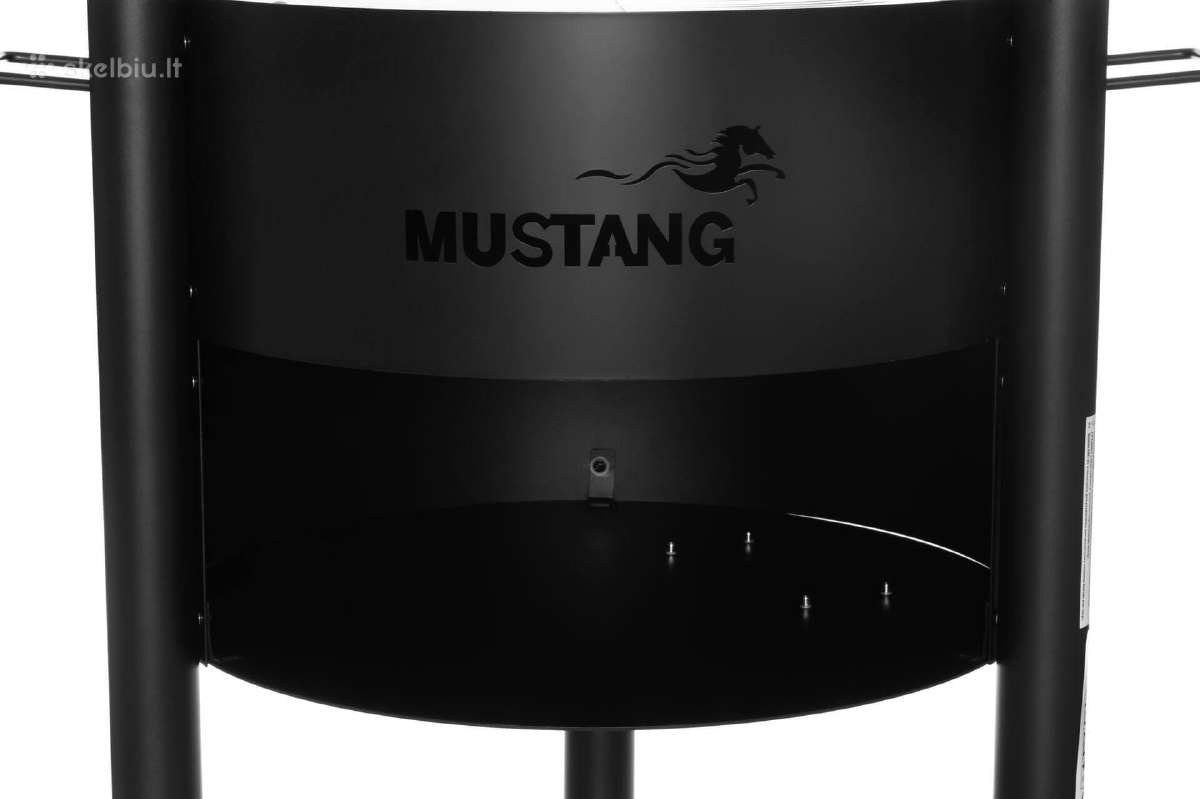Lauko kepsninė ir židinys “Mustang" - nuotraukos Nr. 4