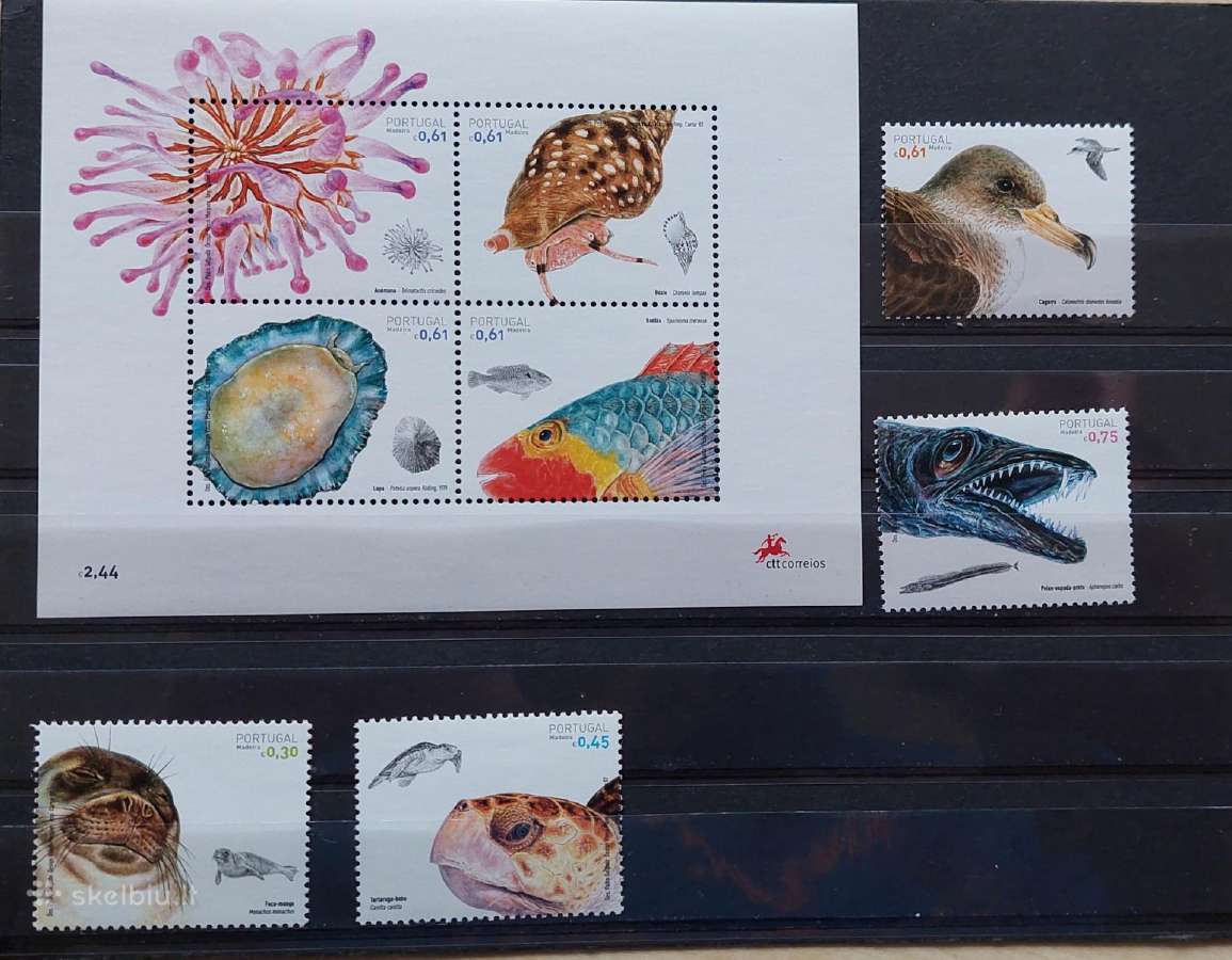 Portugalija(madeira) 2007 jūros fauna, švarus ,Mic