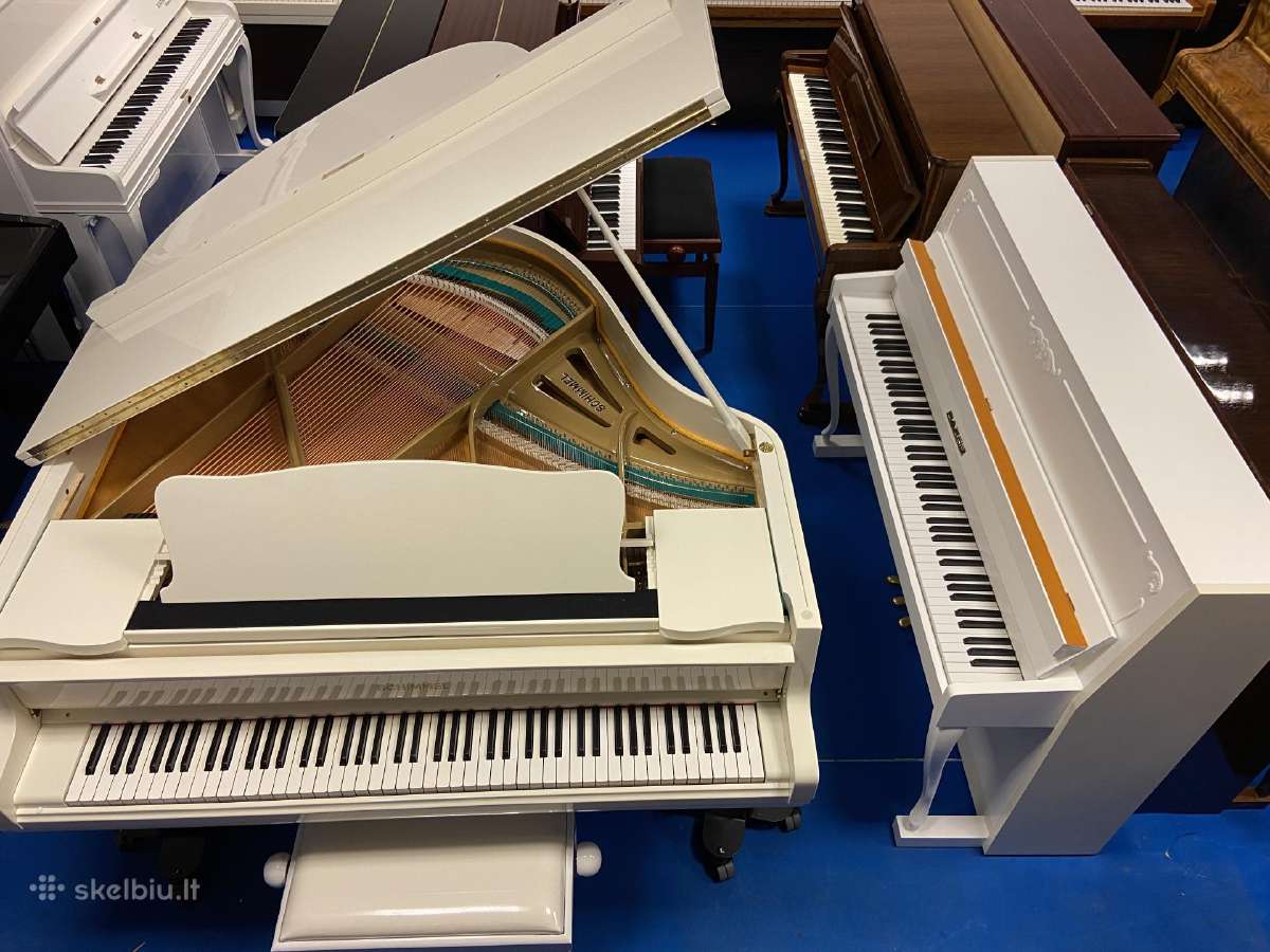 Pianas, Nordiska Piano Classica mod.110 Renner - nuotraukos Nr. 14