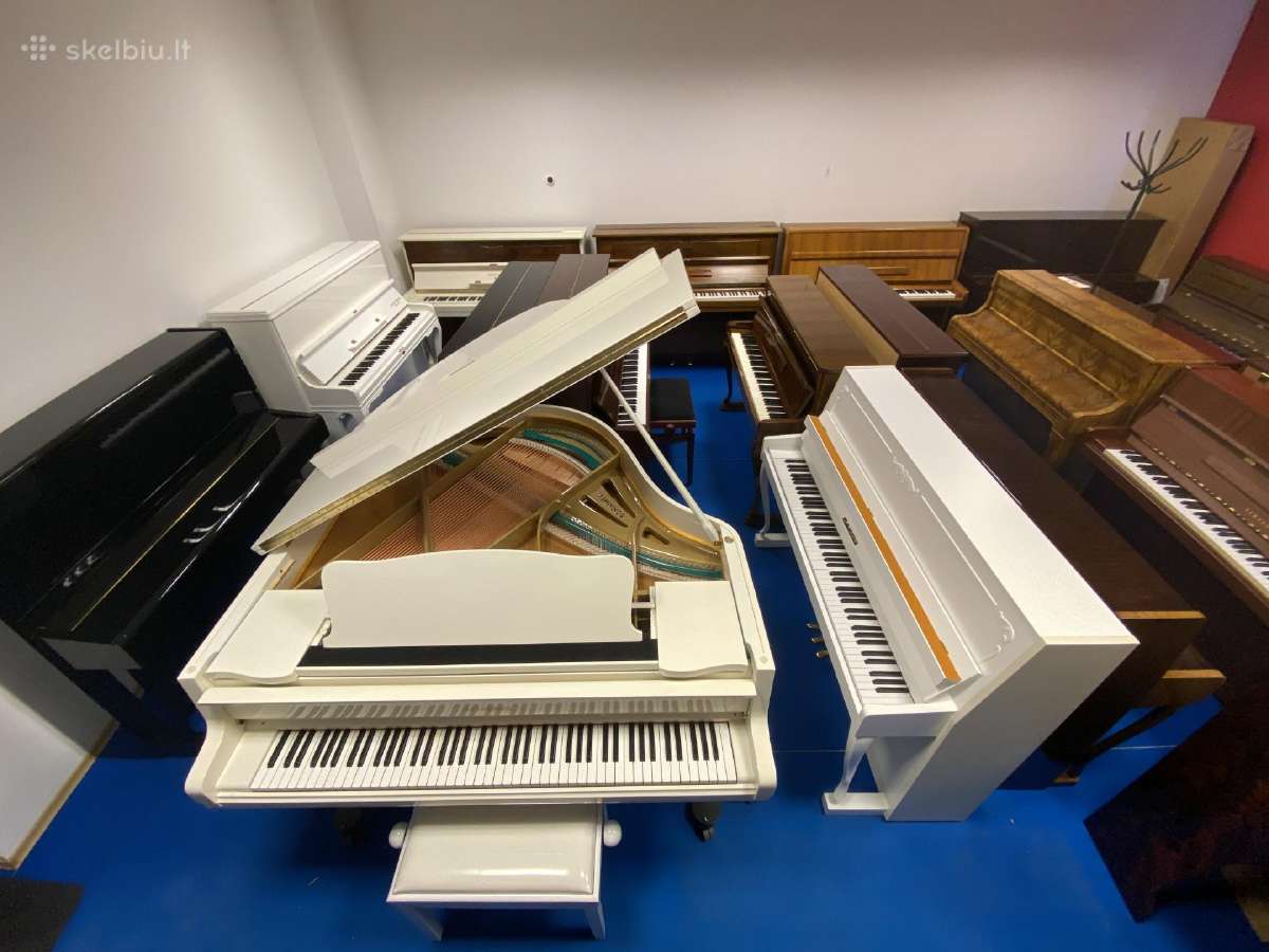 Pianas, Nordiska Piano Classica mod.110 Renner - nuotraukos Nr. 15
