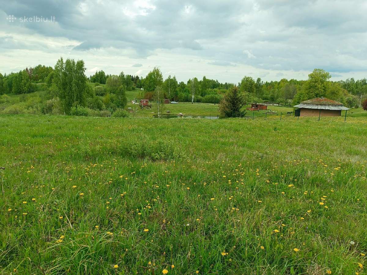 Parduodamas 2.32 ha žemės ūkio paskirties sklypas - nuotraukos Nr. 3