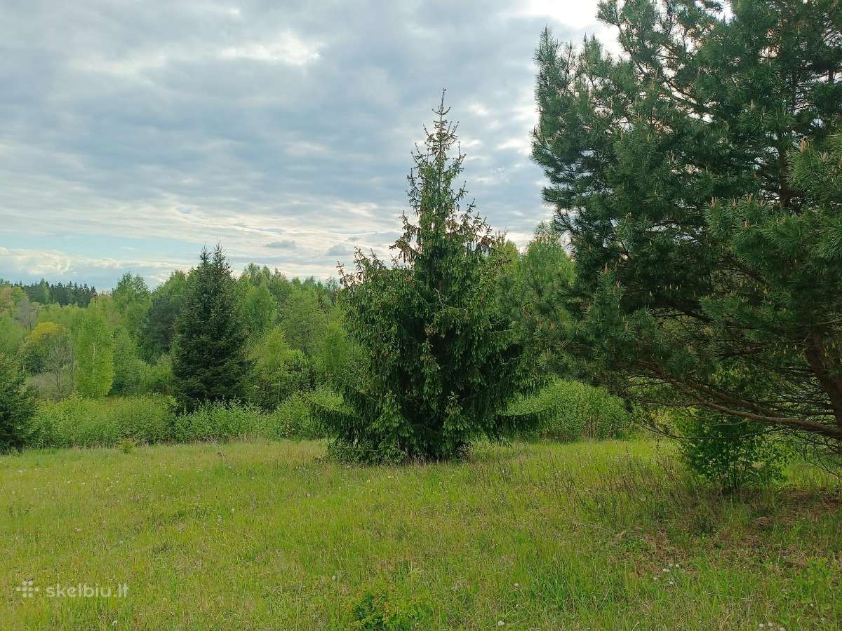 Parduodamas 2.32 ha žemės ūkio paskirties sklypas - nuotraukos Nr. 4