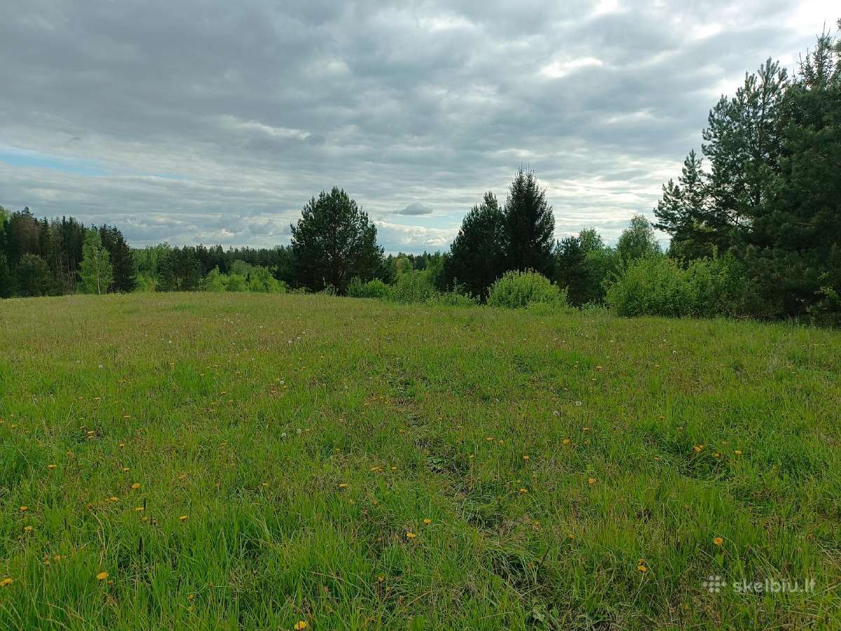 Parduodamas 2.32 ha žemės ūkio paskirties sklypas - nuotraukos Nr. 2