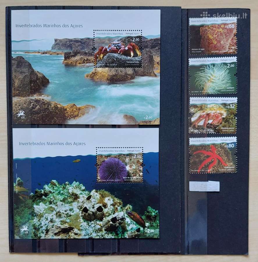 Portugalija(azorai) 2010 jūros fauna, švarus Miche