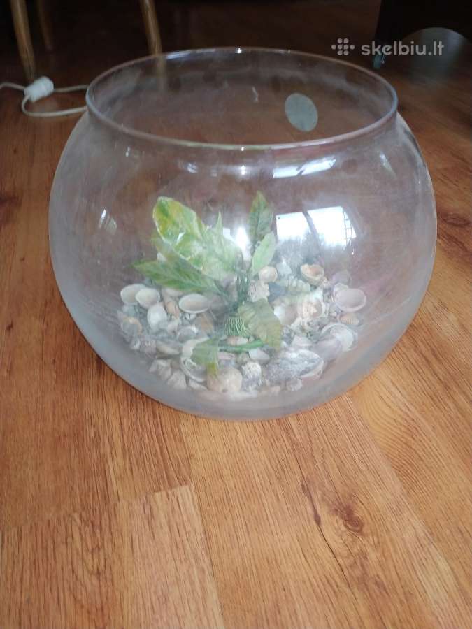Akvariumas terariumas