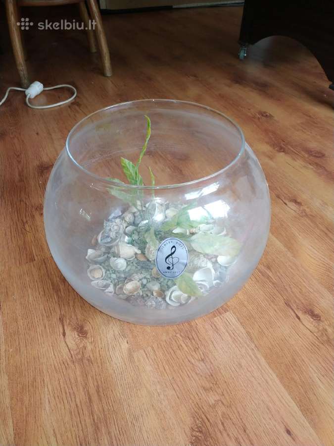 Akvariumas terariumas - nuotraukos Nr. 3