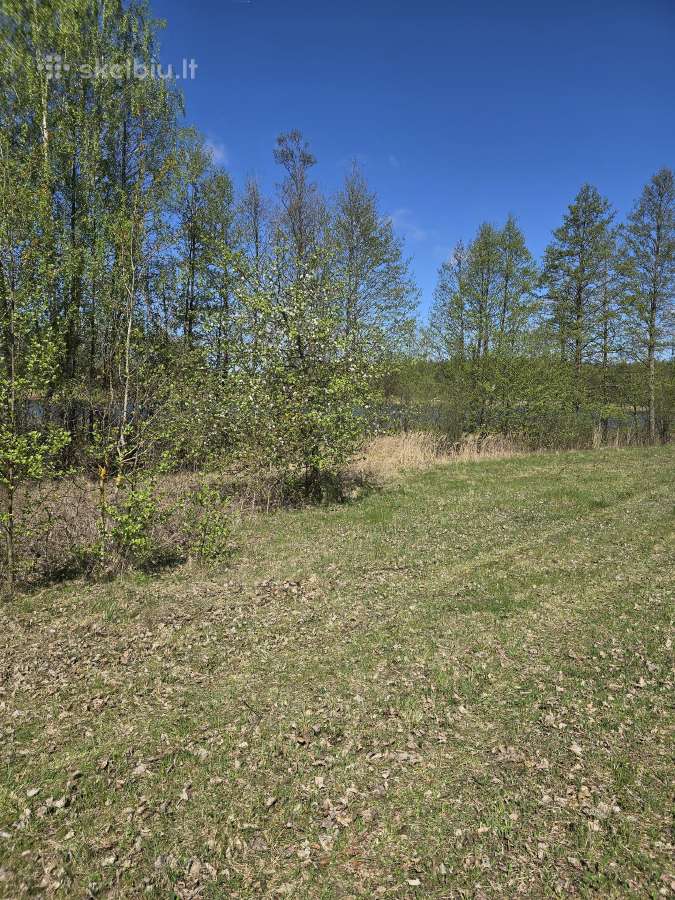 Žemės sklypas prie Ilgio ežero - nuotraukos Nr. 5