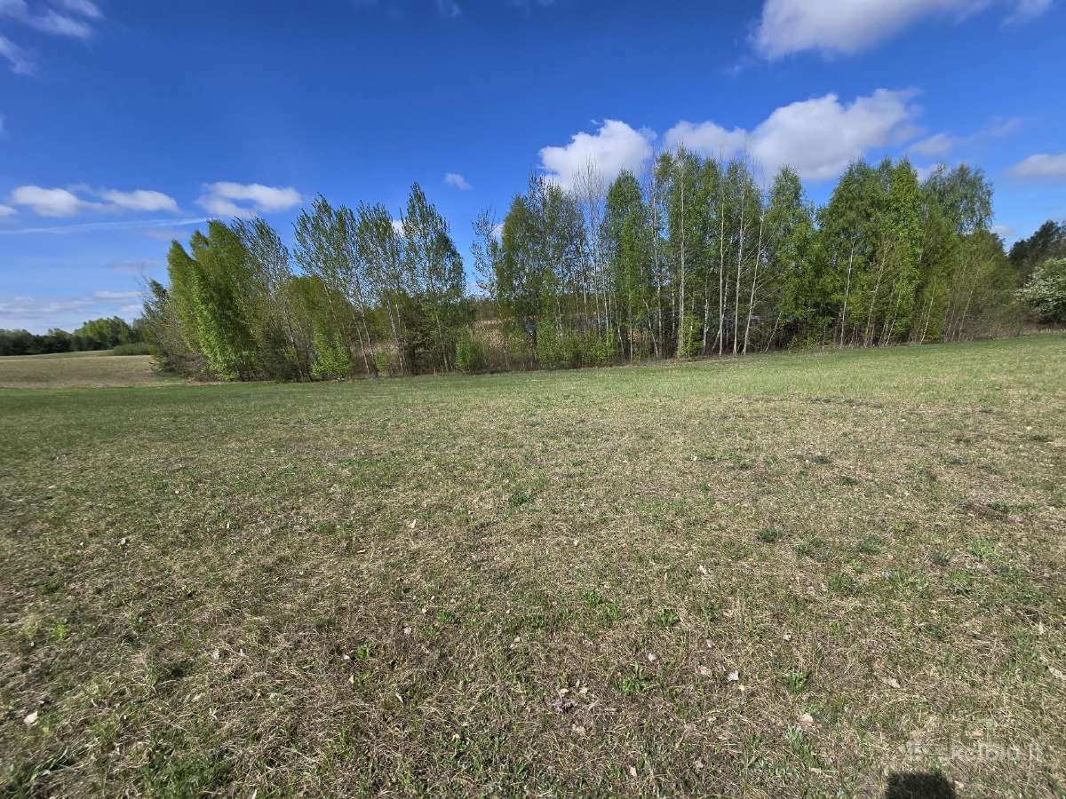 Žemės sklypas prie Ilgio ežero - nuotraukos Nr. 8