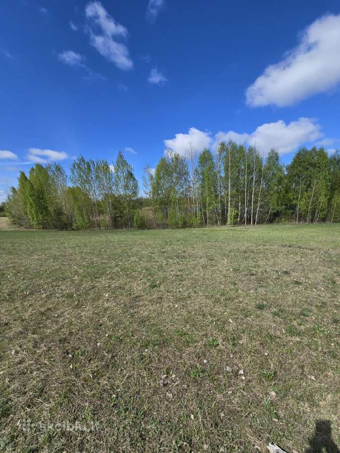 Žemės sklypas prie Ilgio ežero - nuotraukos Nr. 11