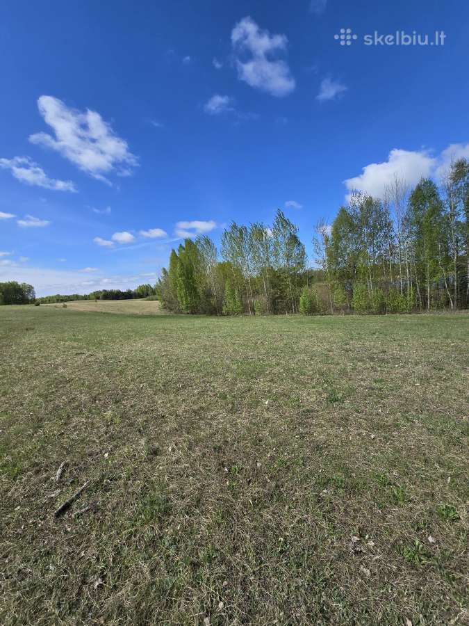 Žemės sklypas prie Ilgio ežero - nuotraukos Nr. 12