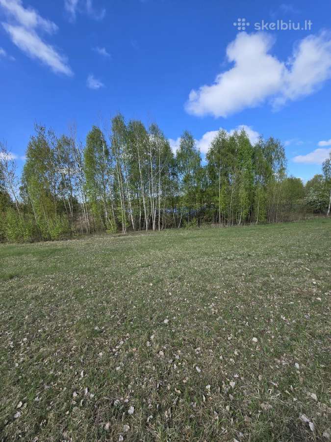 Žemės sklypas prie Ilgio ežero - nuotraukos Nr. 14