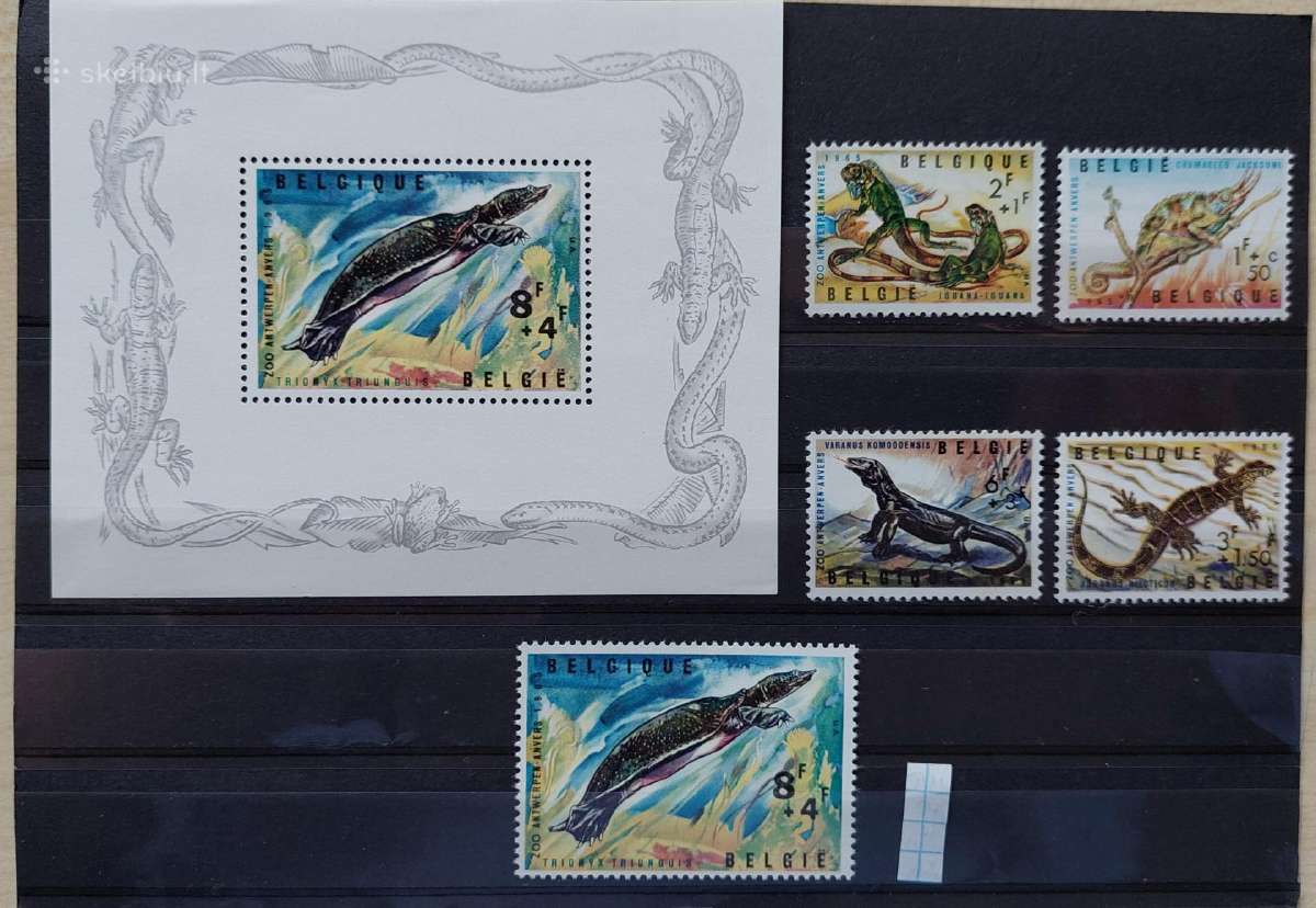 Belgija 1965 zoologijos sodas švarus, Michel Nr 14