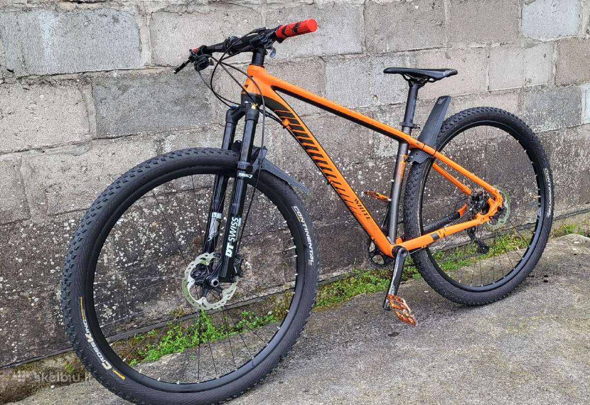 Kalnų dviratis white Xc290pro