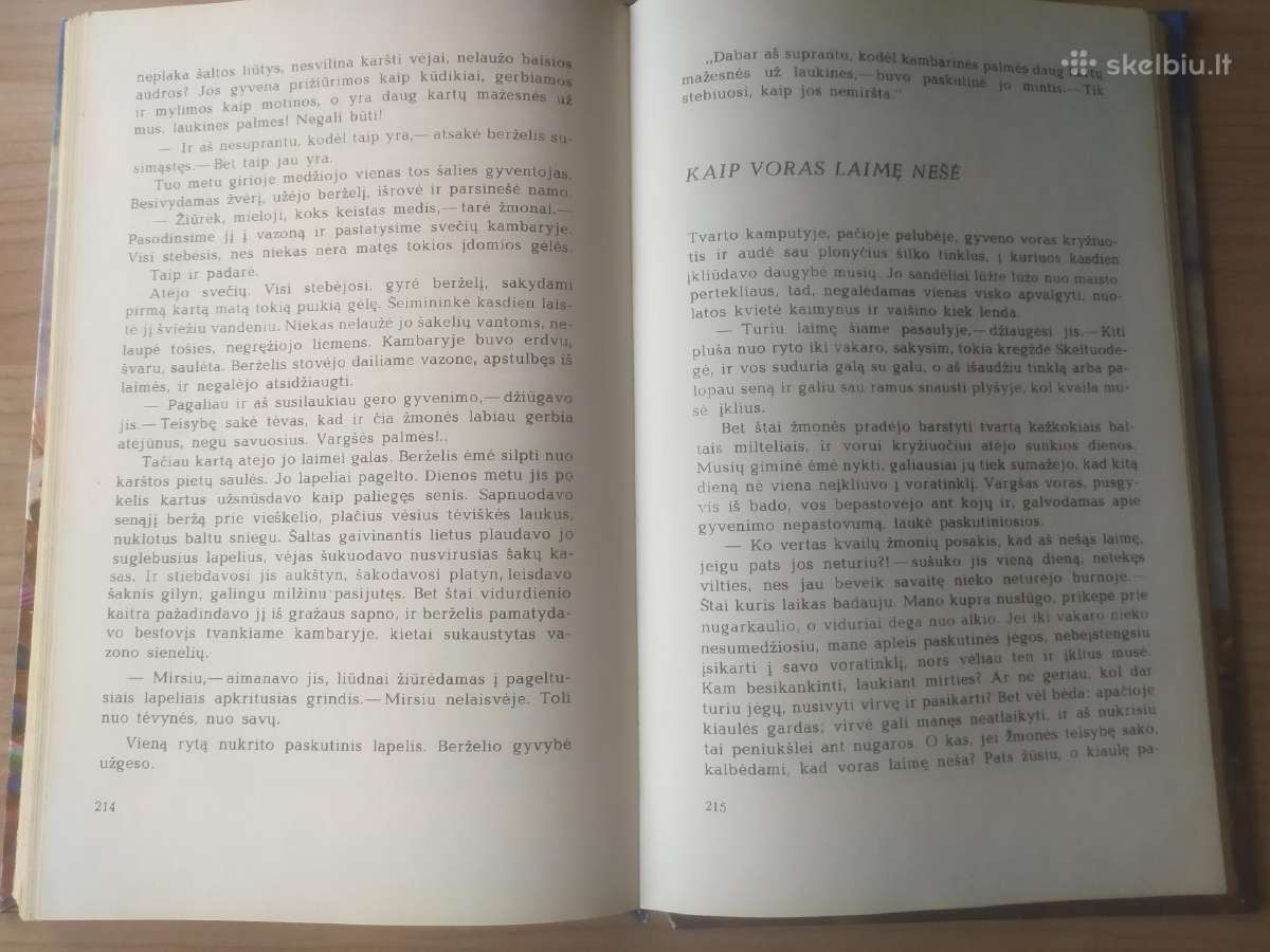 Jonas Avyžius "Juodažvaigždis arkliukas" - nuotraukos Nr. 8