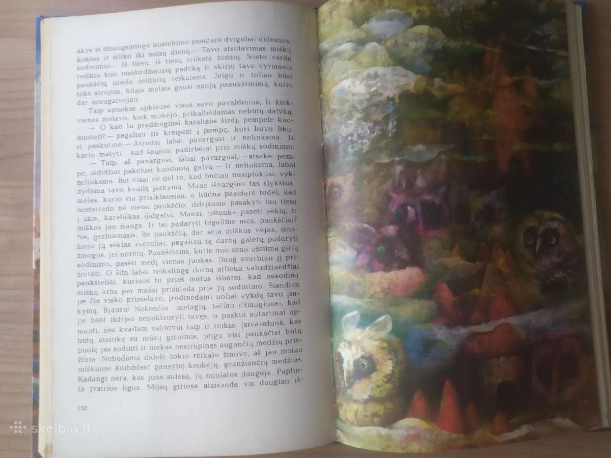 Jonas Avyžius "Juodažvaigždis arkliukas" - nuotraukos Nr. 11