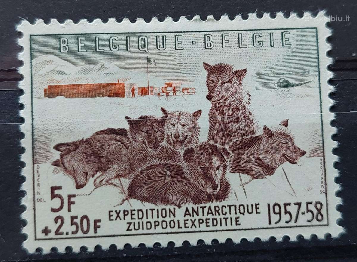 Belgija 1957 šunis. švarus, Michel Nr 1072