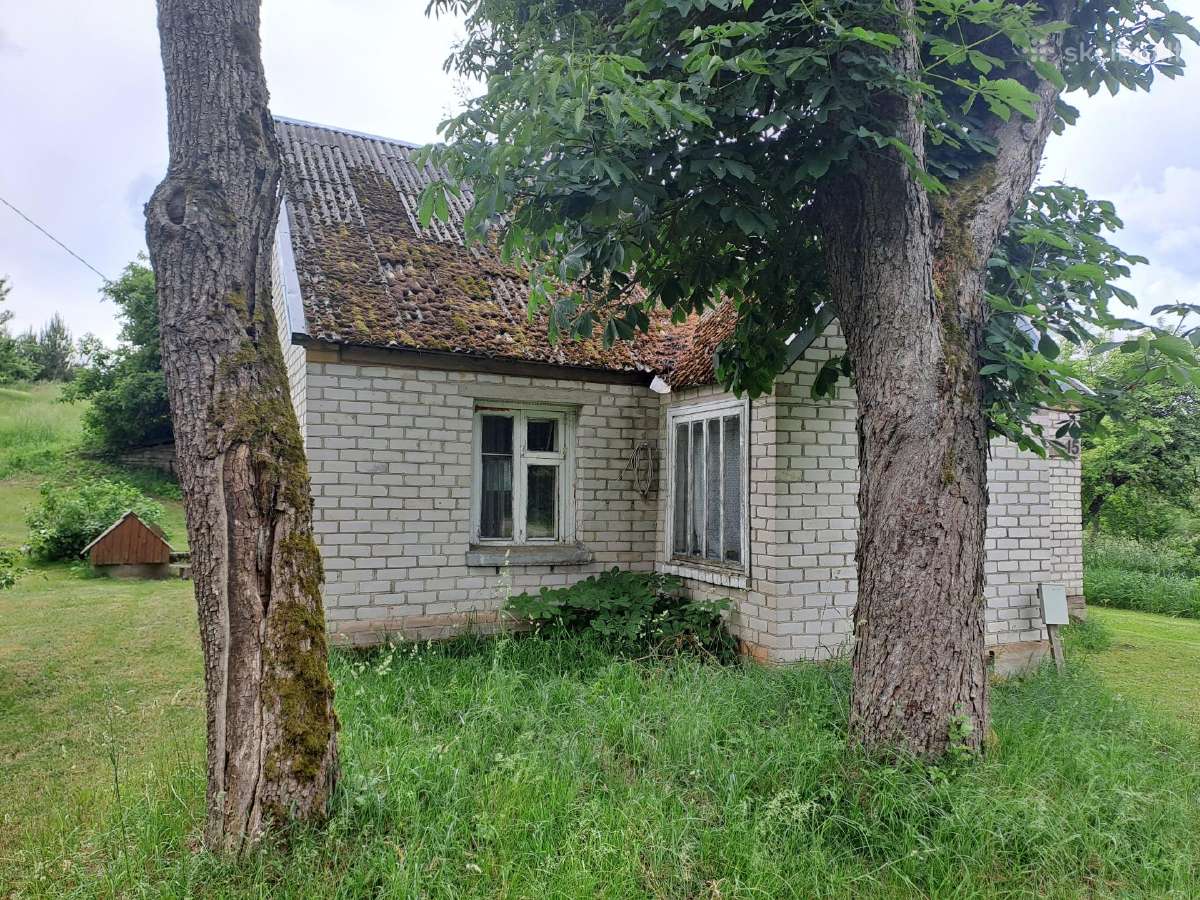 Parduodamas gyvenamasis namas su erdviu sklypu - nuotraukos Nr. 4