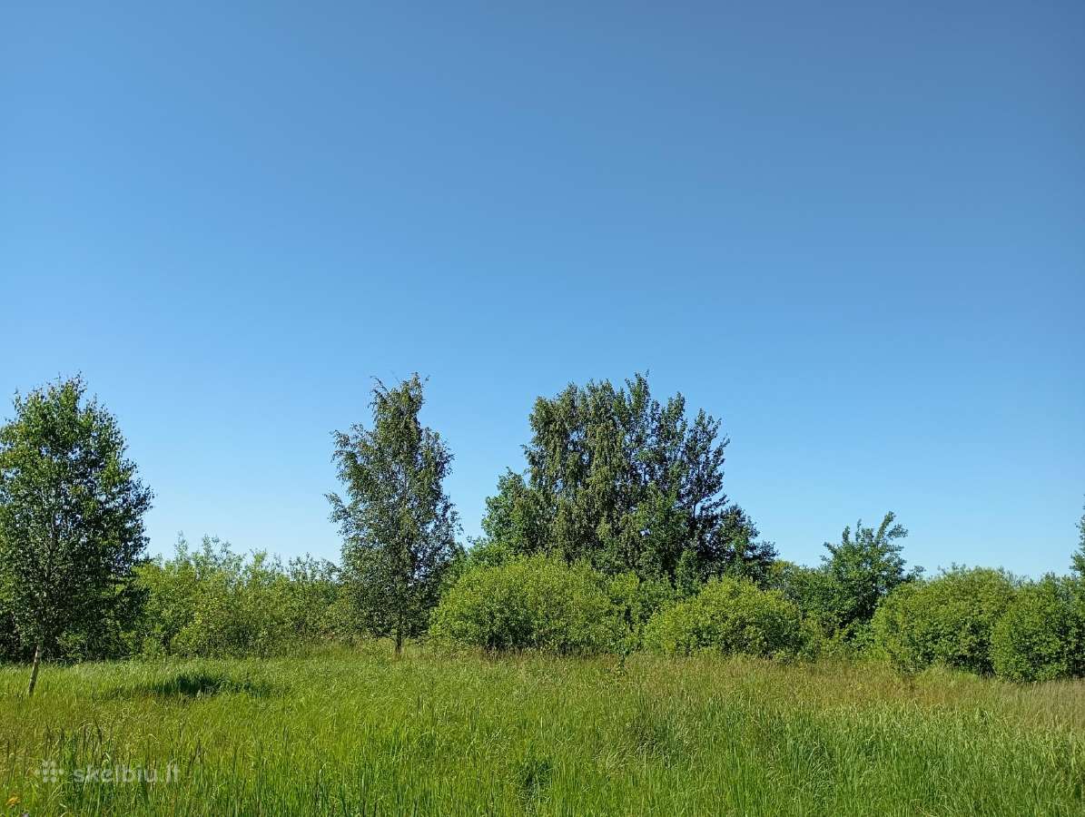 1,33ha sklypas prie Šiaulių jūros - nuotraukos Nr. 18