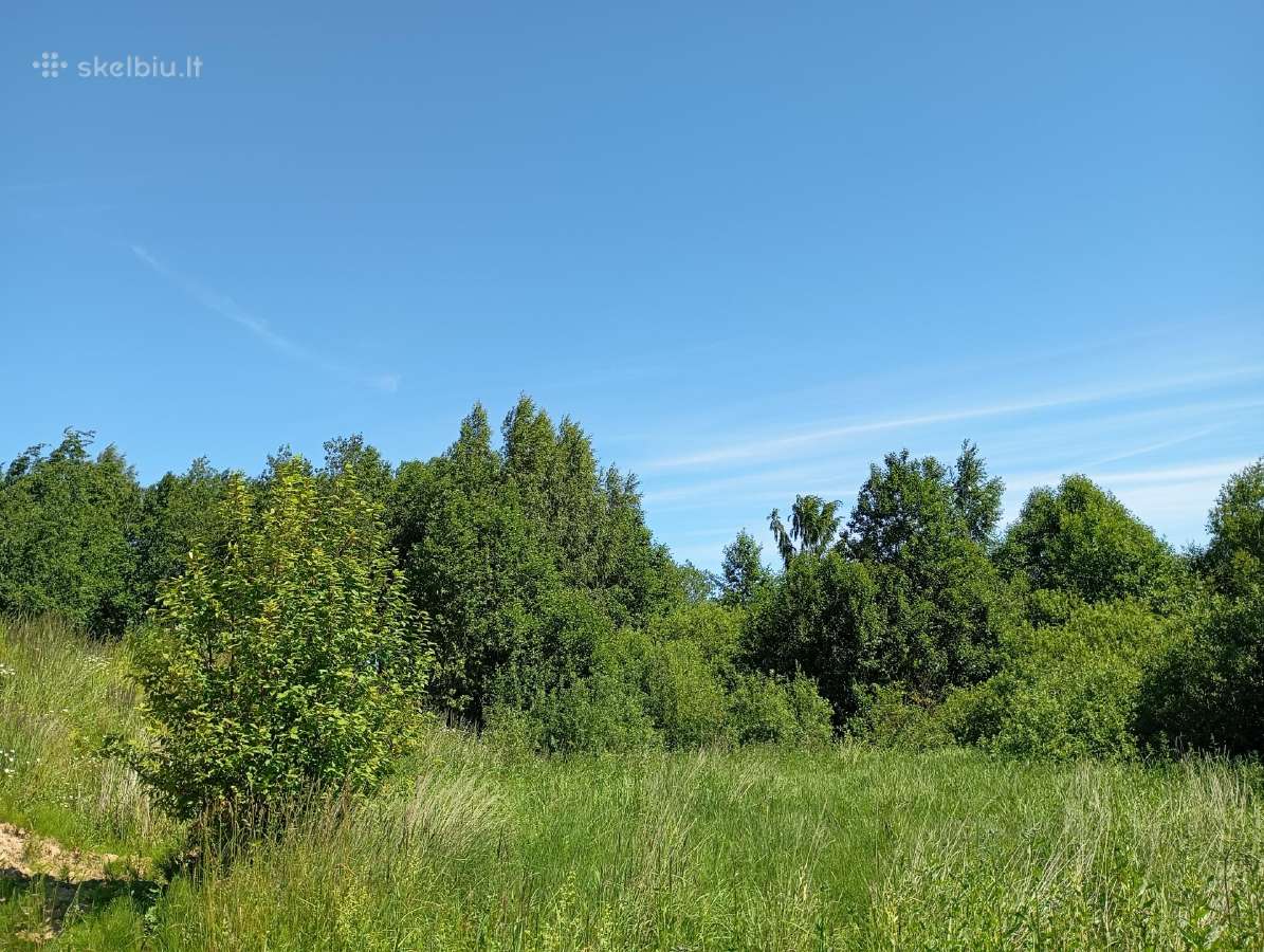 1,33ha sklypas prie Šiaulių jūros - nuotraukos Nr. 19