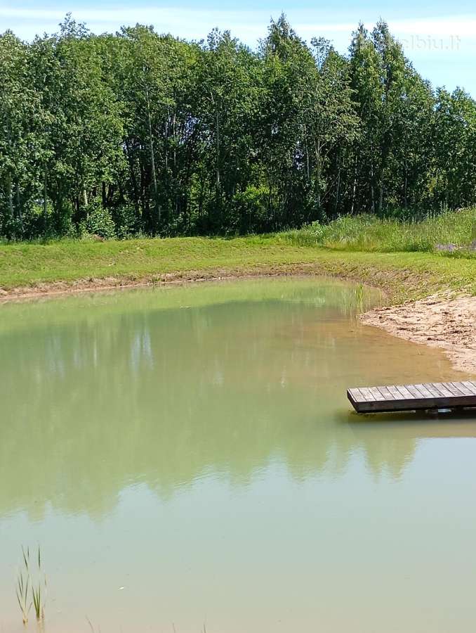 1,33ha sklypas prie Šiaulių jūros - nuotraukos Nr. 20