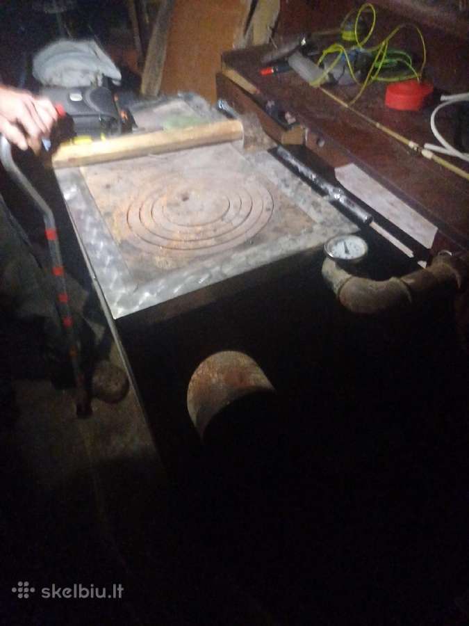 Kalvis