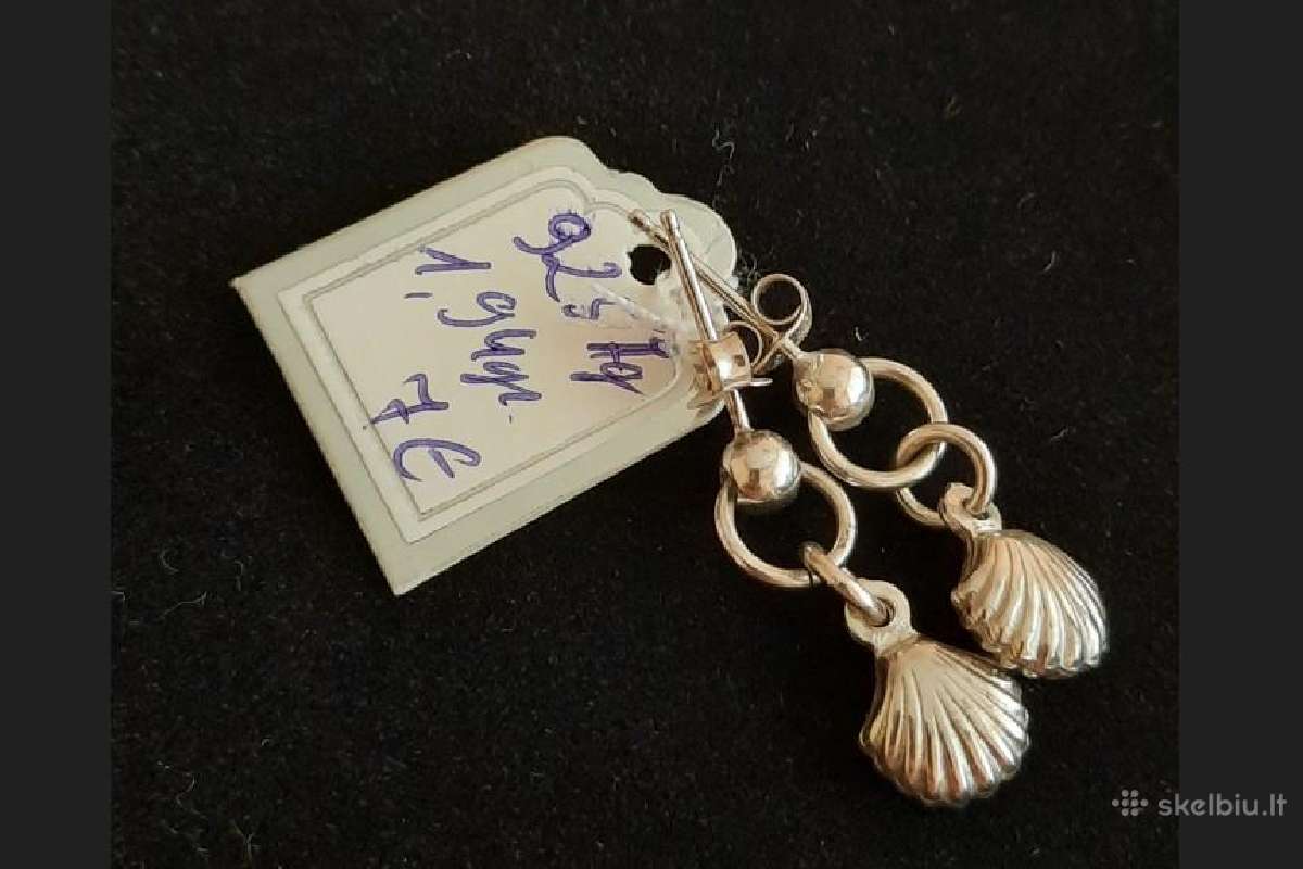 Sidabriniai auskarai, pakabukai, žiedai nuo 3eur.