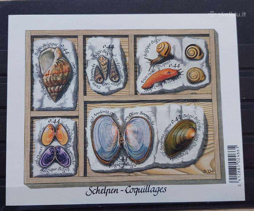 Belgija 2005 Kriauklės, švarus, Michel Nr.block346