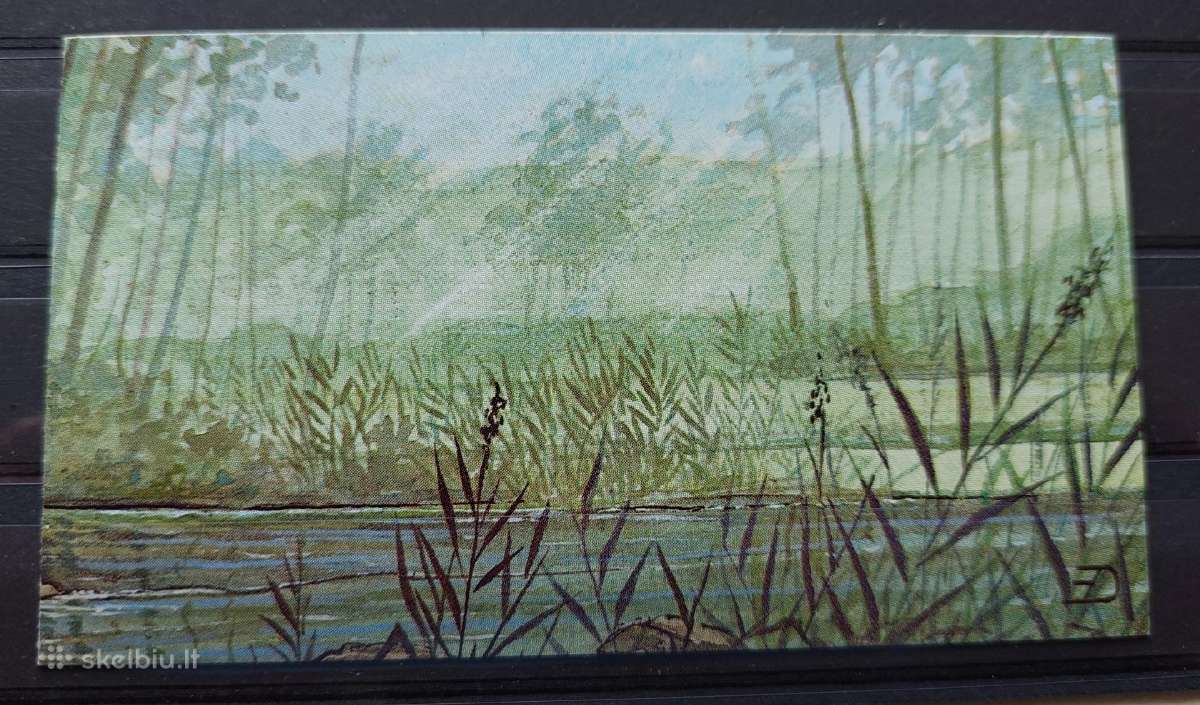 Belgija 1990 žuvis, švarus,bukletas Michel Nr.2435 - nuotraukos Nr. 2