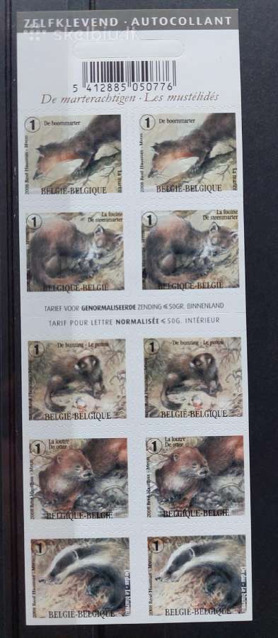 Belgija 2008 kiaunė, švarus,bukletas Michel Nr.388