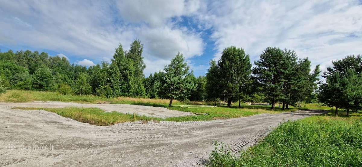 Sklypas Dituvoje, Pavasario gatvėje 230 arų - nuotraukos Nr. 2