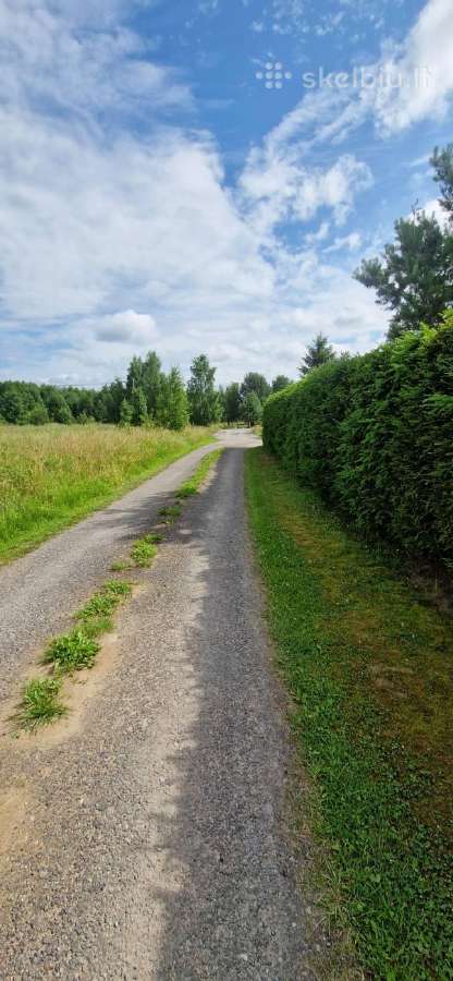 Sklypas Dituvoje, Pavasario gatvėje 230 arų - nuotraukos Nr. 9