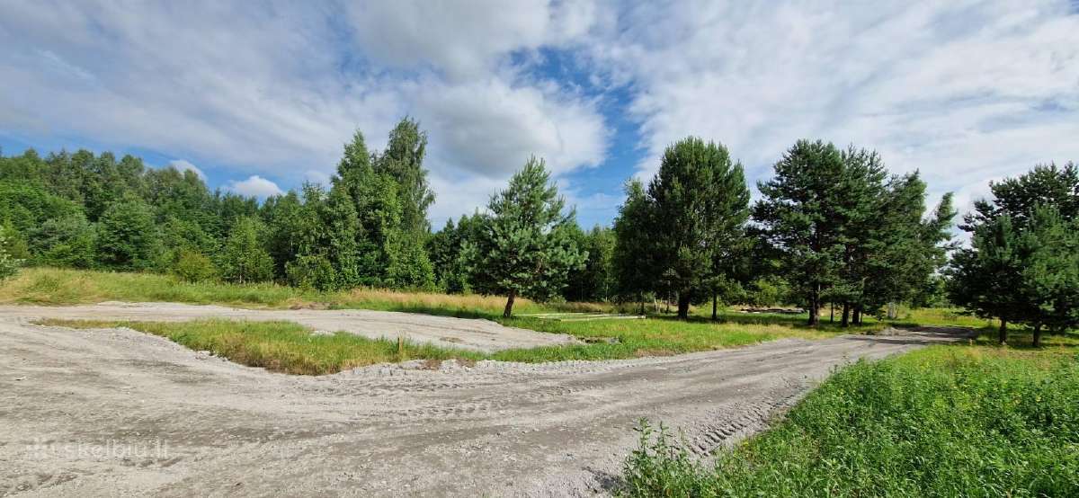 Sklypas Dituvoje, Pavasario gatvėje 230 arų - nuotraukos Nr. 10