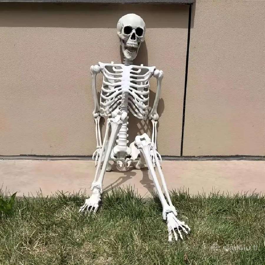 Pvc Realistiški Skeletai, lankstūs sąnariai - nuotraukos Nr. 4