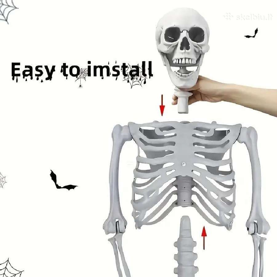 Pvc Realistiški Skeletai, lankstūs sąnariai - nuotraukos Nr. 5