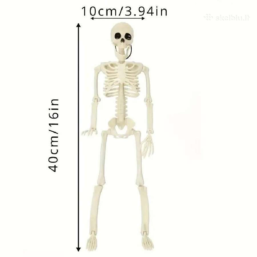 Pvc Realistiški Skeletai, lankstūs sąnariai - nuotraukos Nr. 11