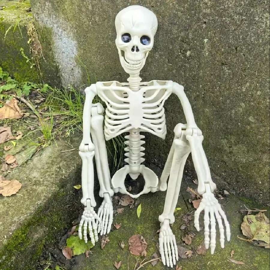 Pvc Realistiški Skeletai, lankstūs sąnariai - nuotraukos Nr. 13