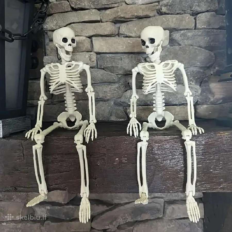 Pvc Realistiški Skeletai, lankstūs sąnariai - nuotraukos Nr. 15
