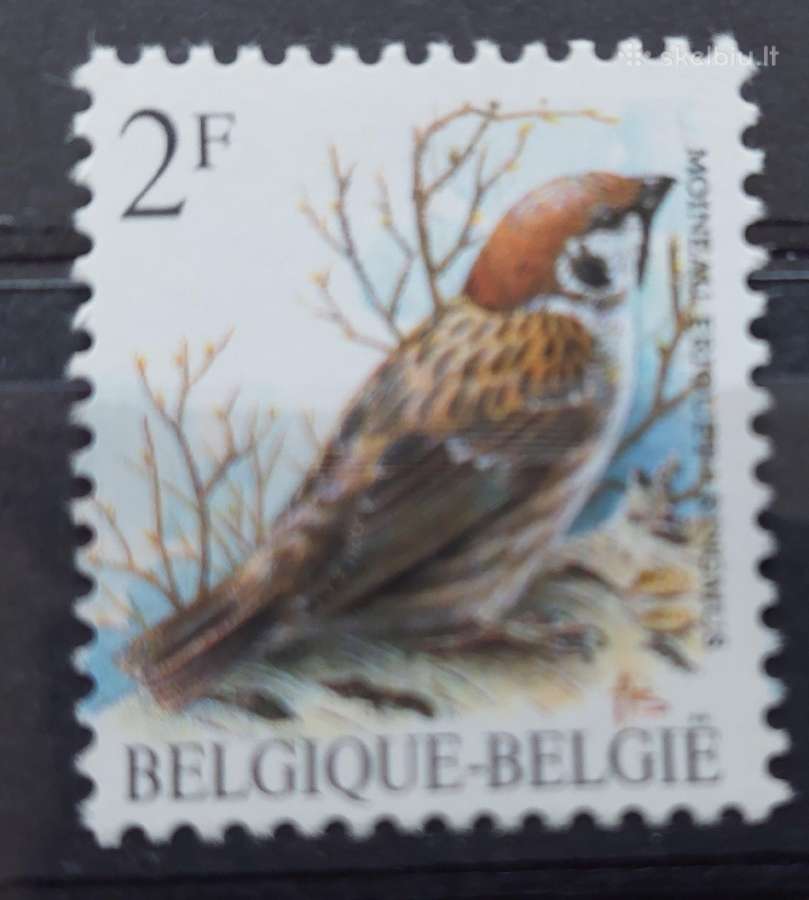 Belgija 1989 paukštis, švarus, Michel Nr.2399