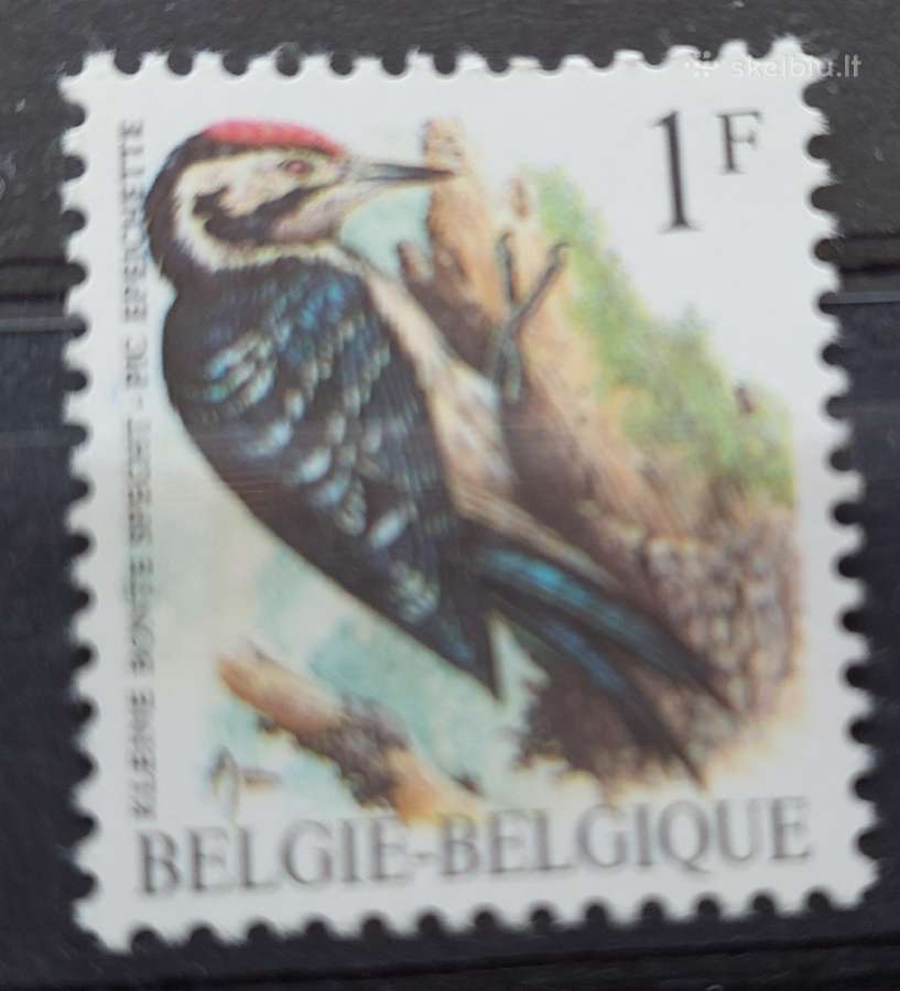 Belgija 1990 paukštis, švarus, Michel Nr.2401
