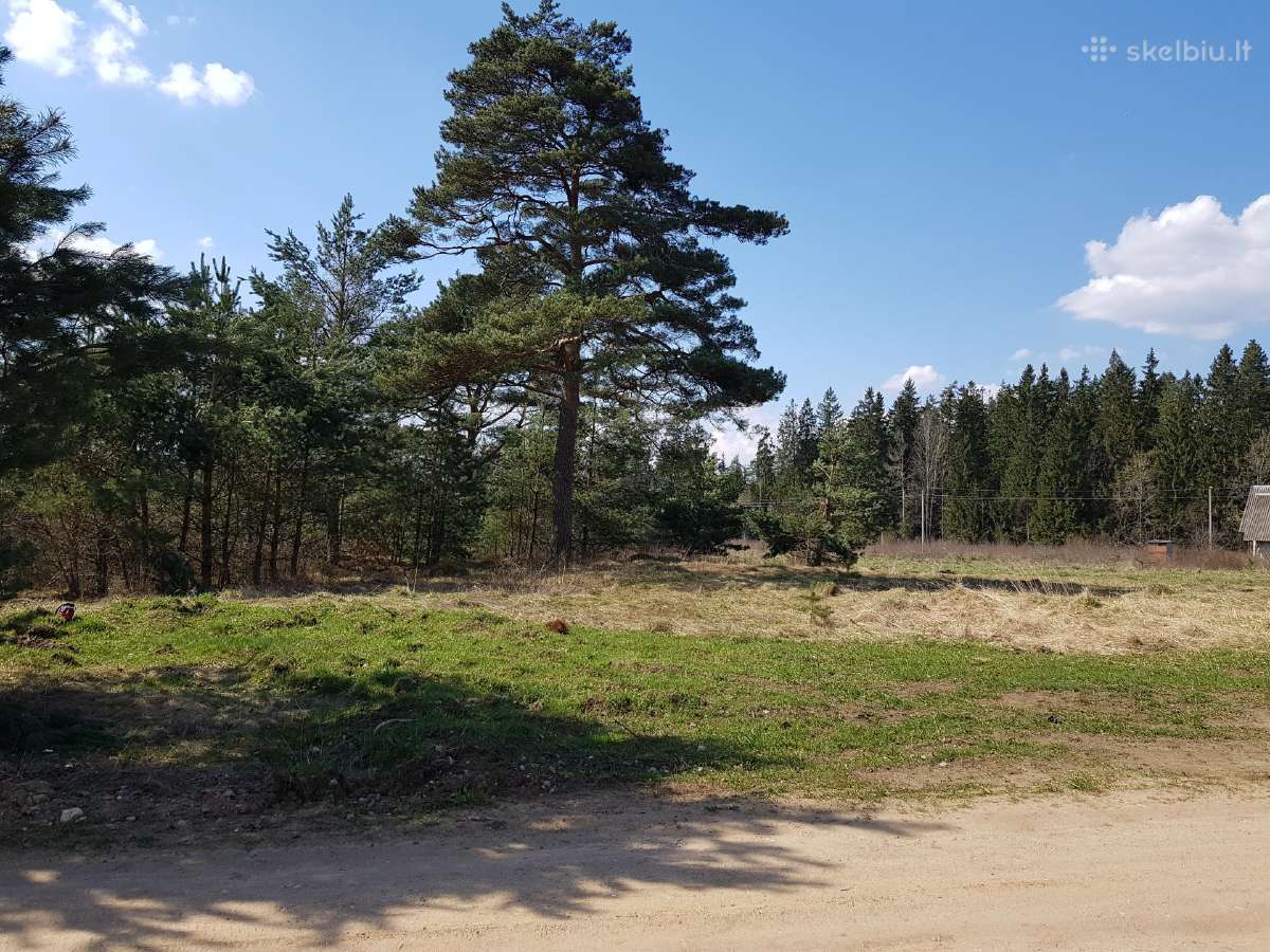 Žemės sklypas Gojaus k., Jašiūnų sen., Šalčininkų